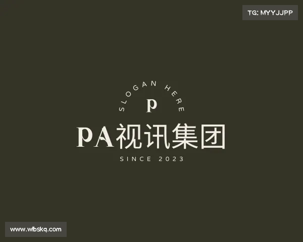 了解PA视讯集团